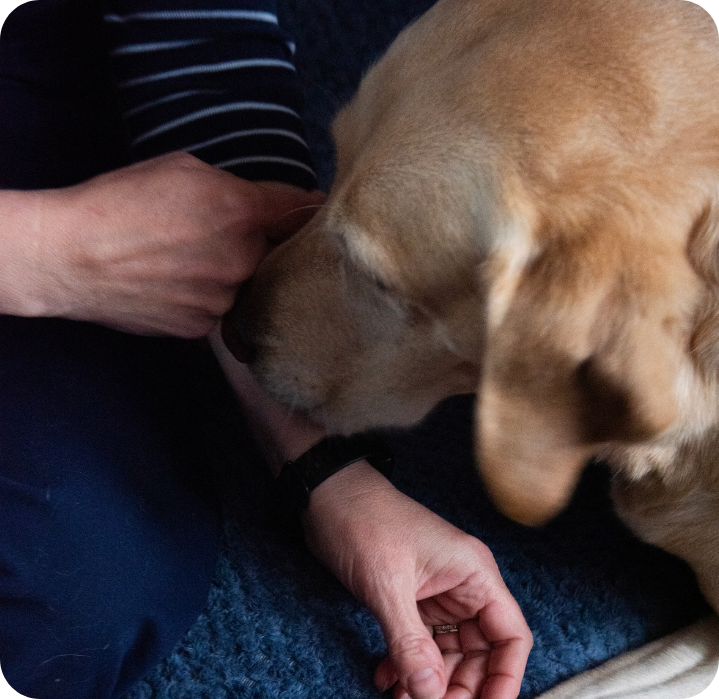 home euthanasia
